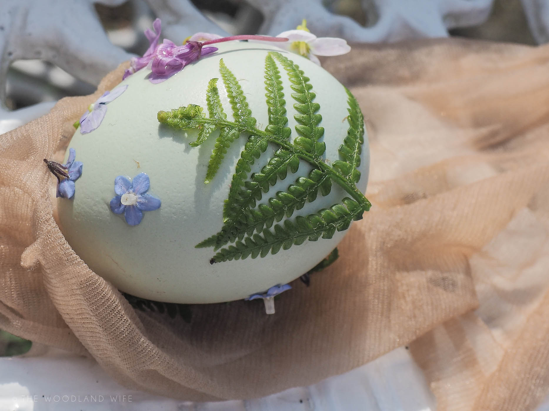 The Woodland Wife - Easter Crafting - Naturally Dyed Eggs with Onion Skins