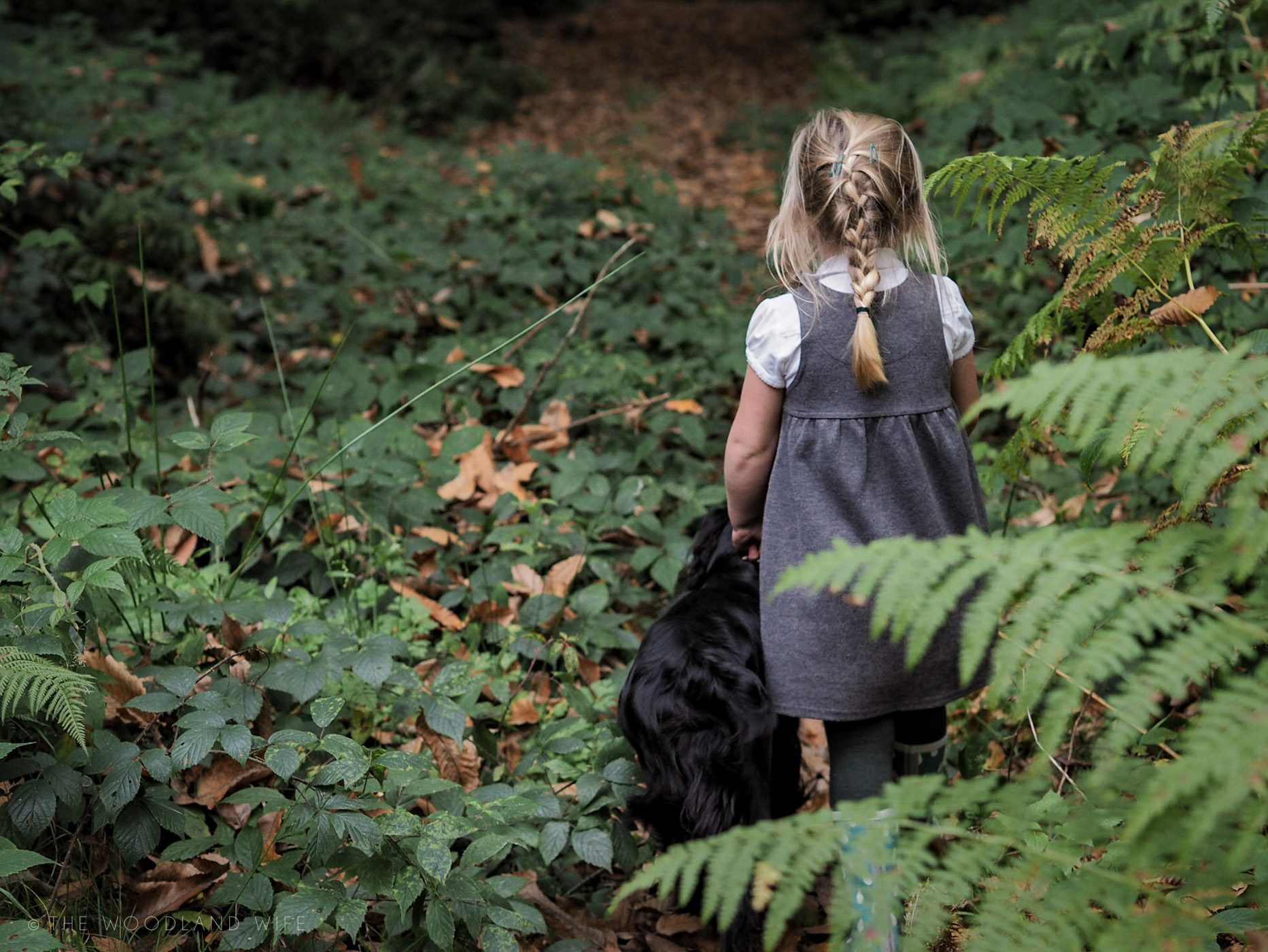 The Woodland Wife - After School Walk in the woods